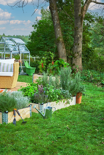 Jak zaprojektować i prowadzić swój ogród w sposób ekologiczny i zrównoważony